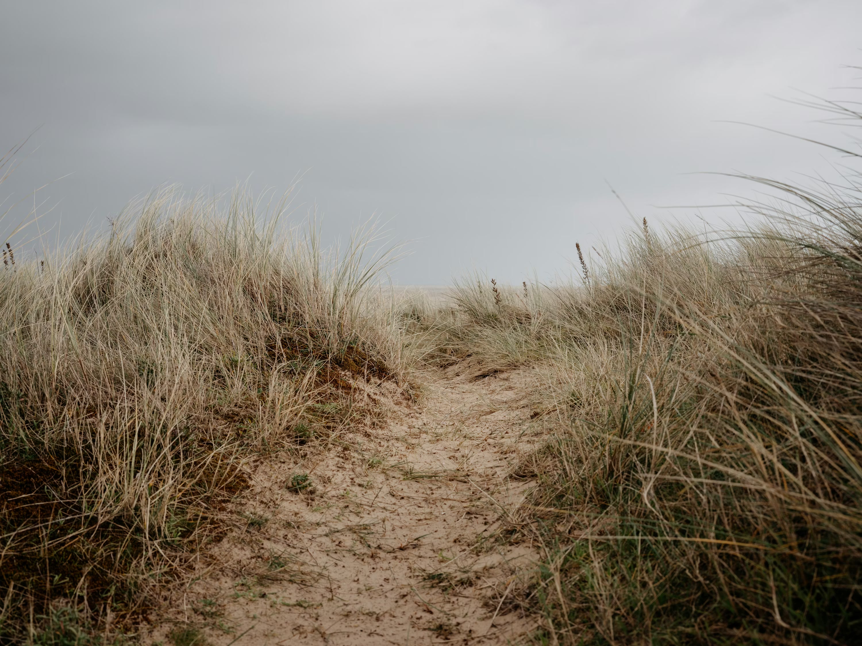 A path through dunes